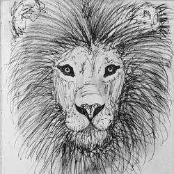 lion