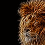 Lion-Fractalius