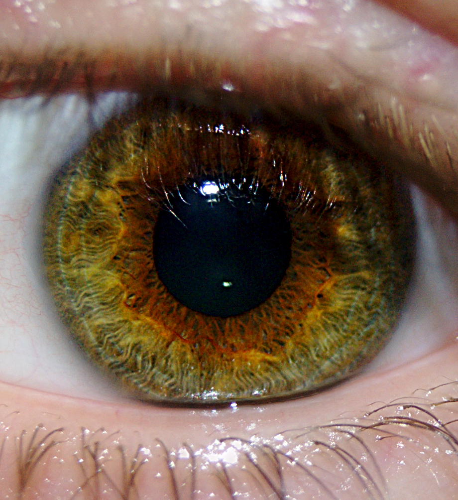 Eye Closeup