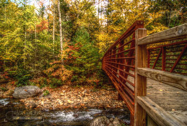 Fires Creek Bridge 3