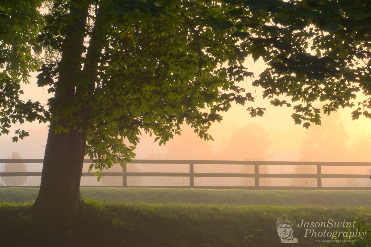 Mystic Misty Morning