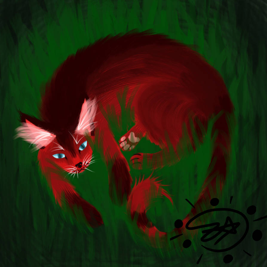 Cat Nap by ZasarosRedMist on DeviantArt