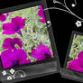 PurpleFlowerPictureFrame