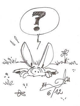 A Rabbit Hole