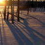 Red snow