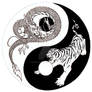 Dragon Tiger Yin Yang sketch