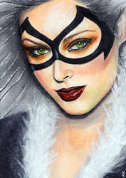 Black Cat Sketch Card 11 by veripwolf