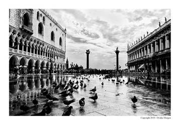 VENICE II