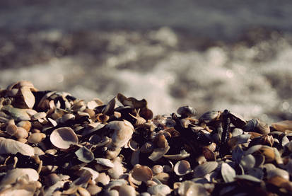 On the Beach