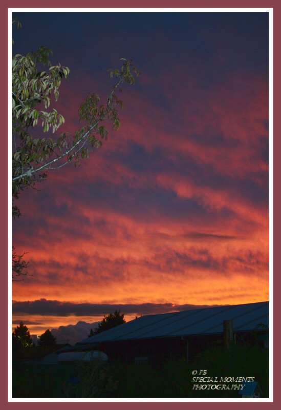 Mammatus cloud Reporoa 2