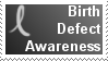 Birth Defect Awareness