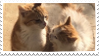 tender cats stamp