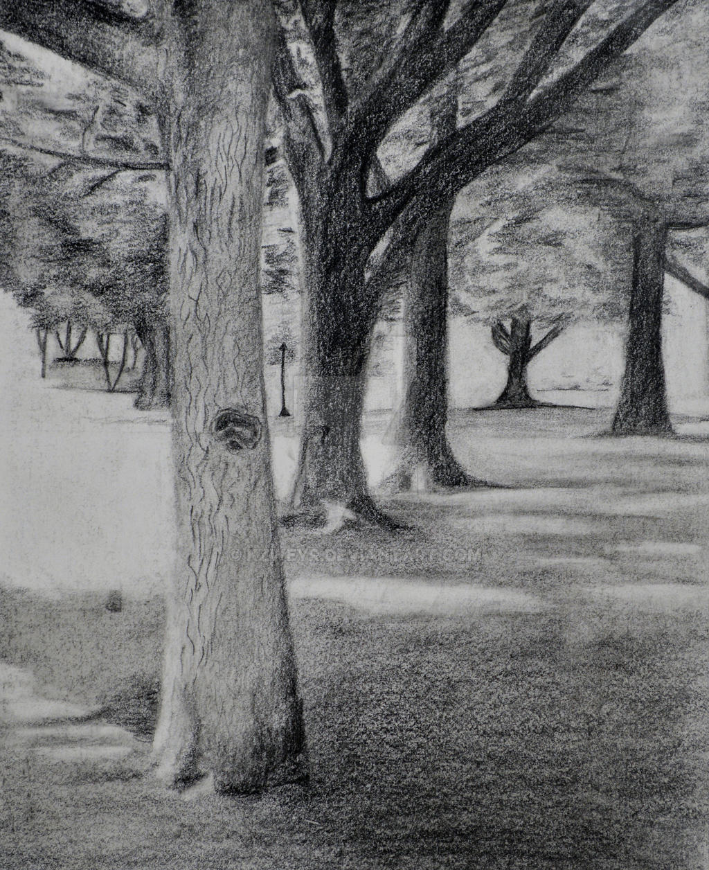Draw Negative Space Tree Negative Space Drawing Tree Curated Collection: Negative Space