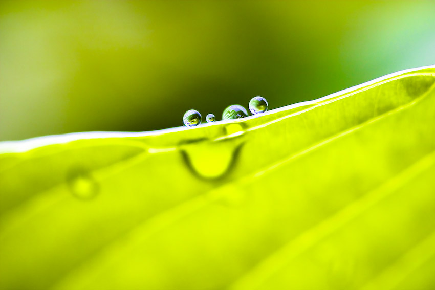 Drops II