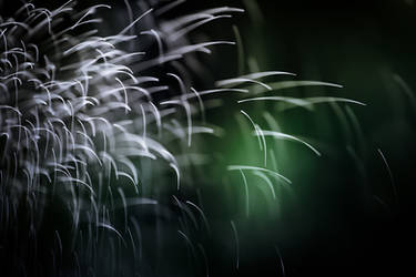 Waterdrops II by sampok