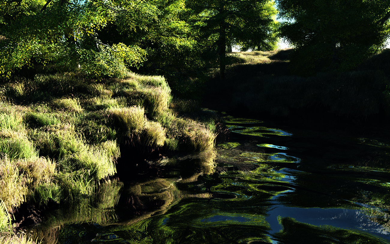 Grassy Shores