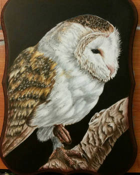 owl on wooden plaque 