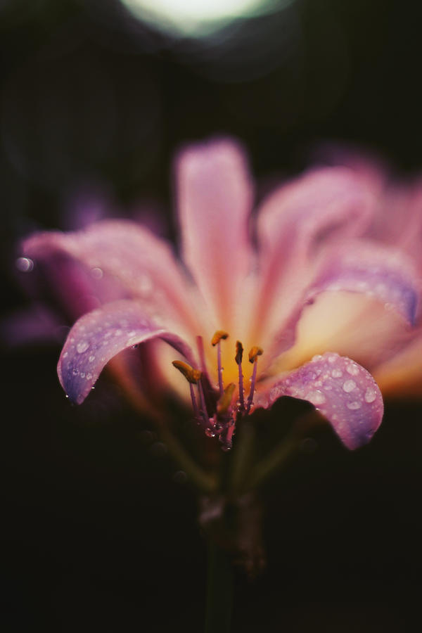 a cold july by justashadowleft a cold july by justashadowleft