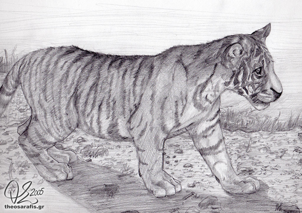 Animal: Tiger