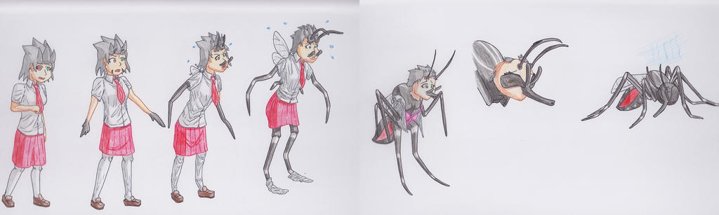 Human Insect Tf Mosquito TF by MajesticHentaiSenpai on DeviantArt