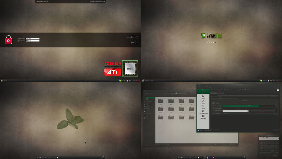 A Linux Mint 13 screenshot (10/20)