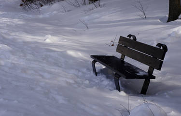 Just a Bench