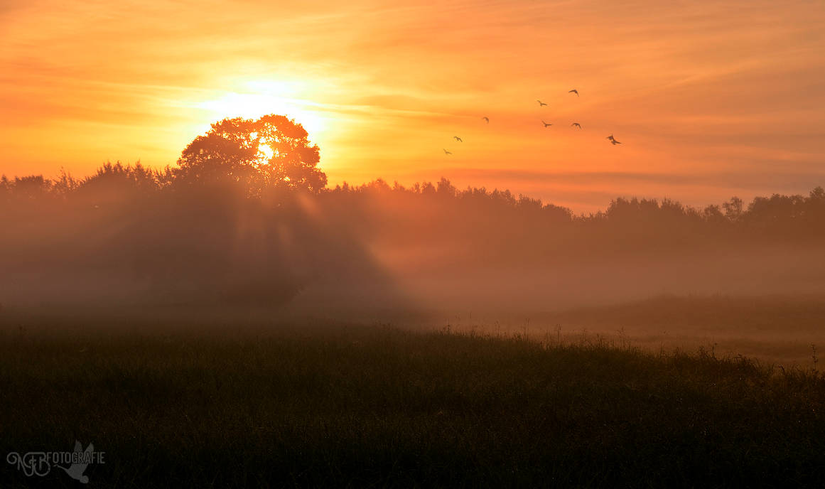 At first light by NFB-Fotografie