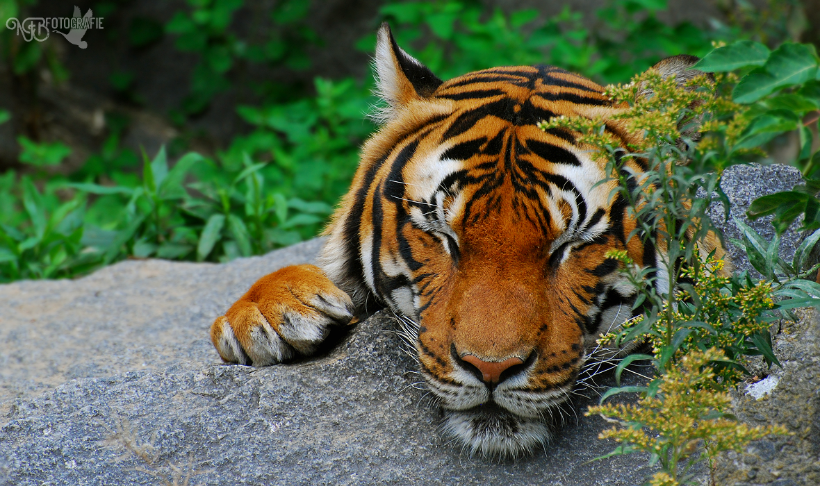 Spotlight - NFB-Fotografie by Egil21 on DeviantArt