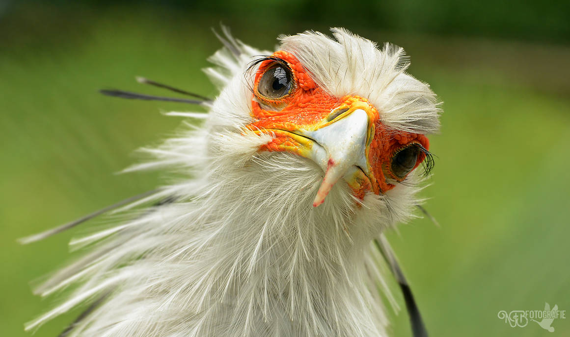 Hey, what are you doing there? by NFB-Fotografie on DeviantArt