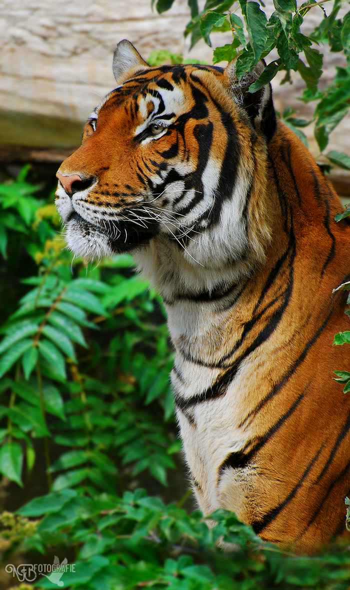 Spotlight - NFB-Fotografie by Egil21 on DeviantArt