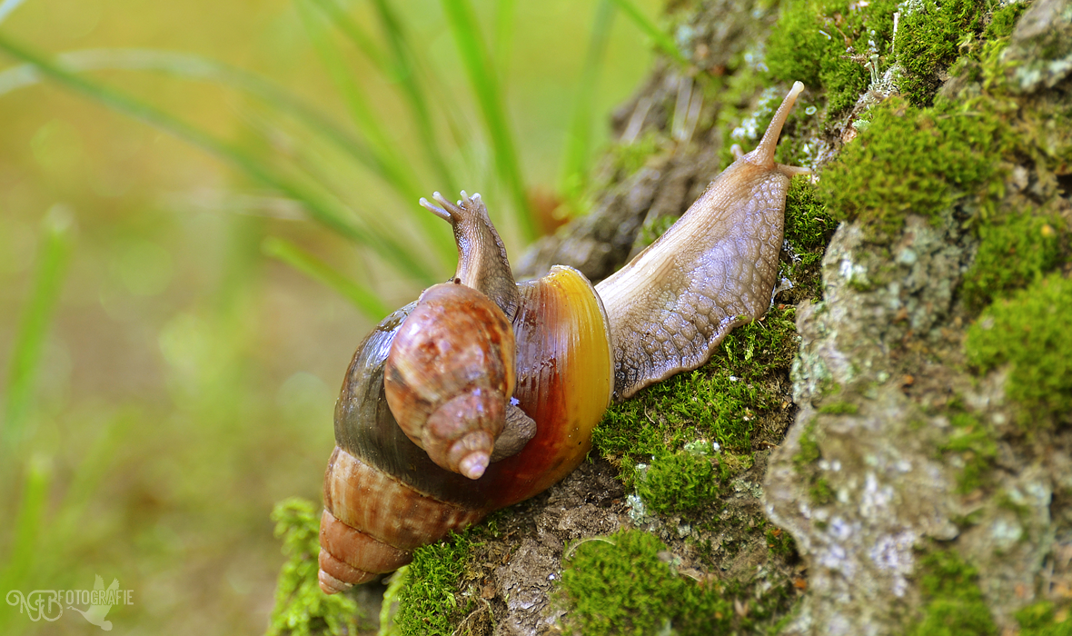 Spotlight - NFB-Fotografie by Egil21 on DeviantArt