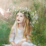 Gods little Gifts