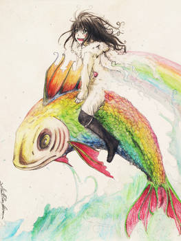 Rainbow Flying Fish