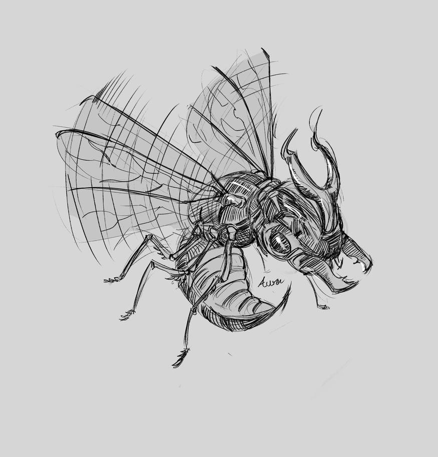 Flying Insect Perspective Drawing Insect Flight by Auraspect on DeviantArt