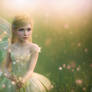 beautiful fairy princess in a field of magic 2