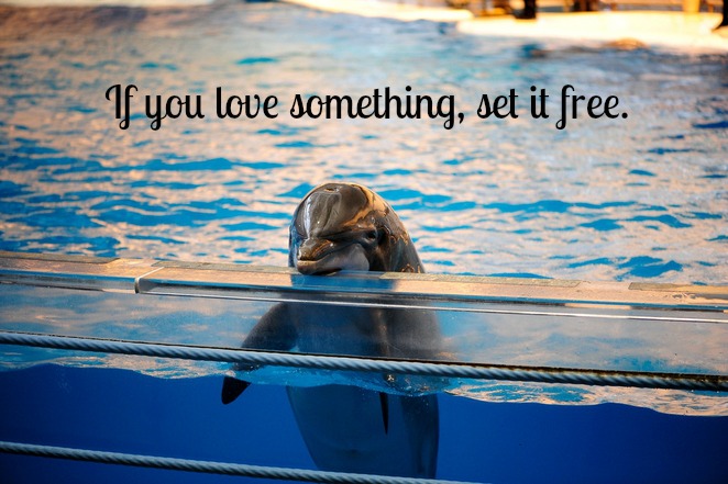 If you love something..
