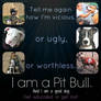 I am a Pitbull