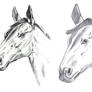 Copying Studs - Horse