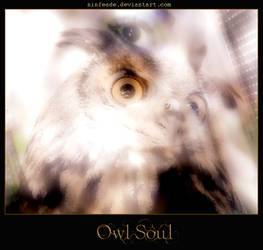 Owl Soul