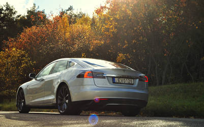 Tesla S P85