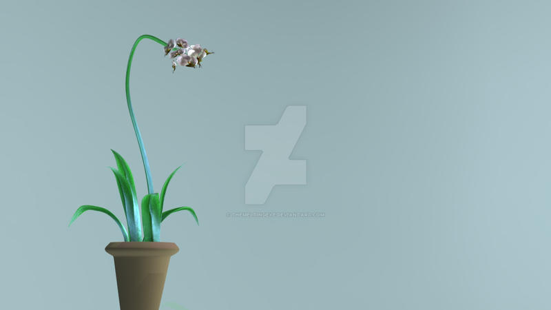 Orchid 3D model