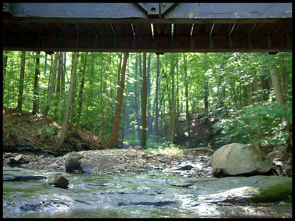 Under The Bridge