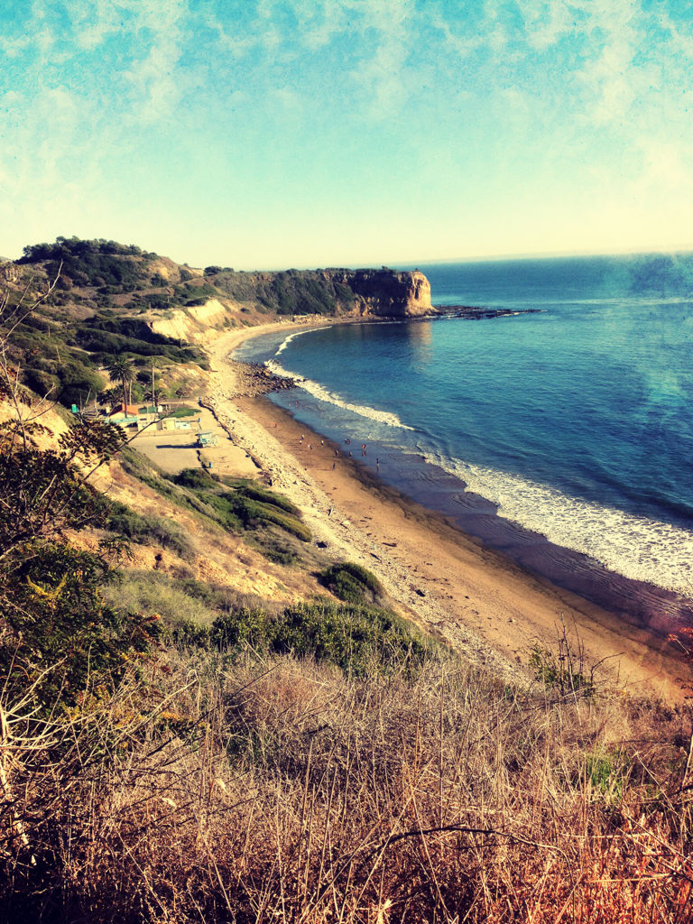 Glance at the Ocean