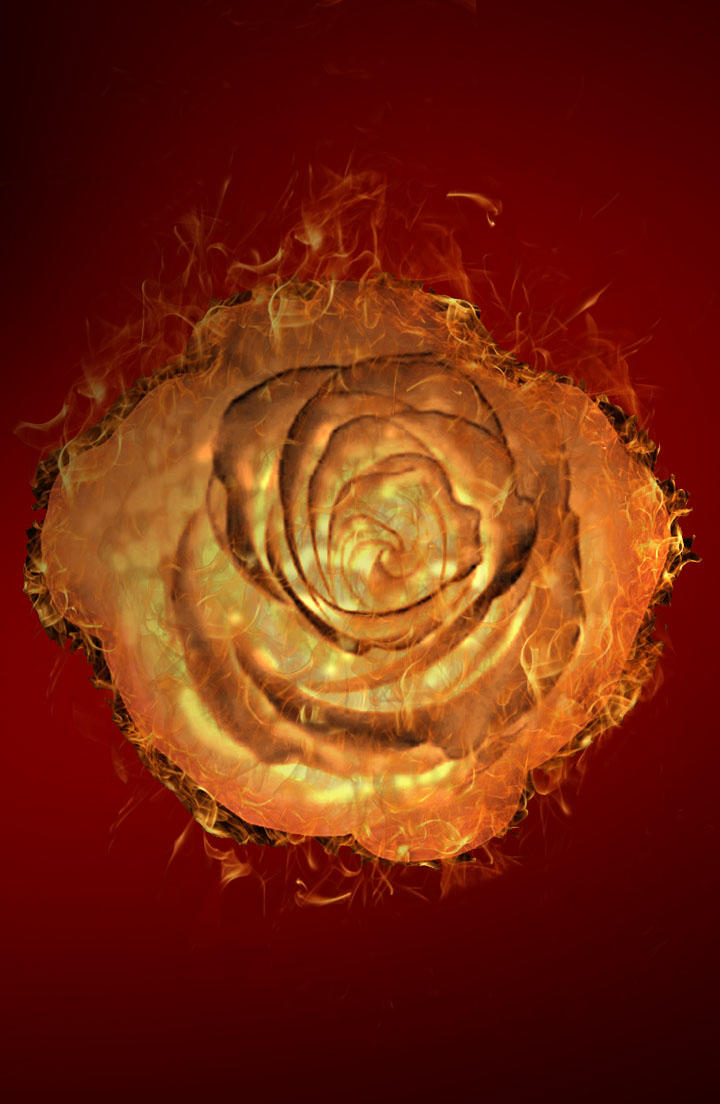 Fiery Rosa by long-danzi on DeviantArt