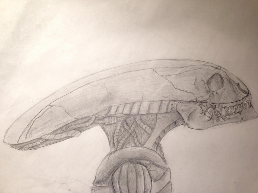 Xenomorph Head