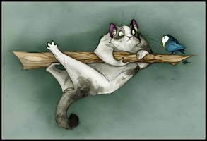 Hunting.