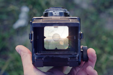 Lubitel