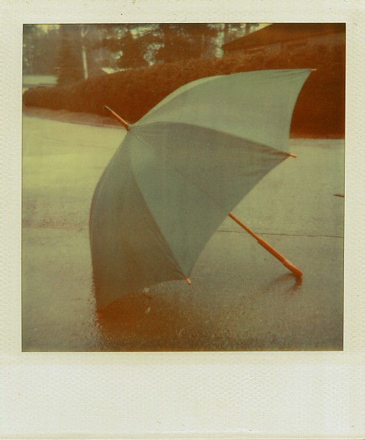 umbrella