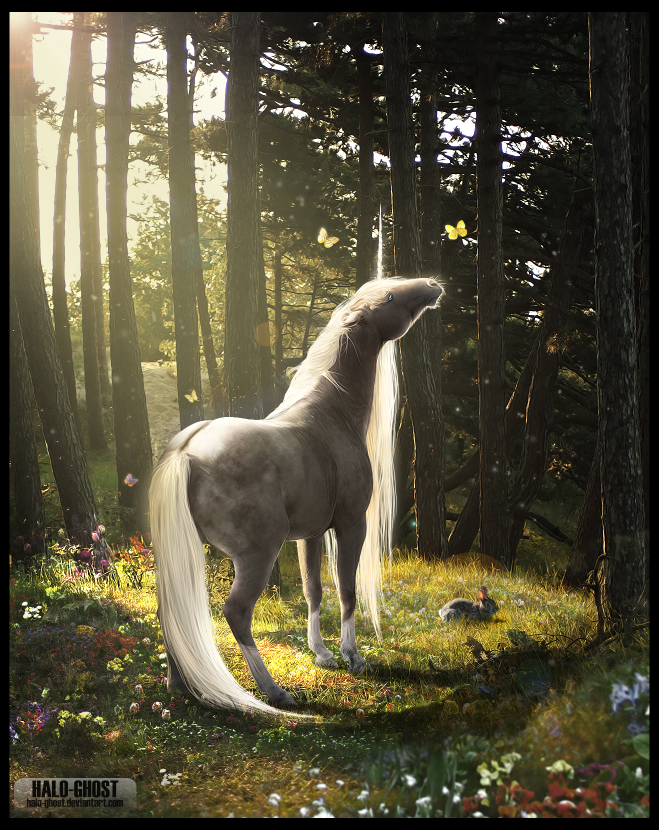 COMMISSION: RAEDEN by THE-WEATHERED-RAVEN
