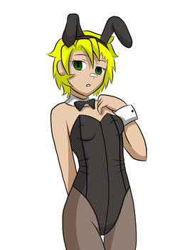 Sara Bunny costume